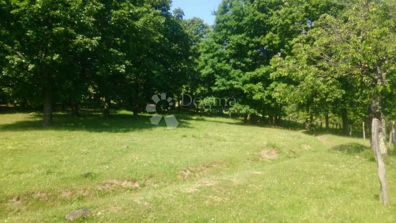 Terreno Gradište, Kutjevo, gradište, 78.505m2