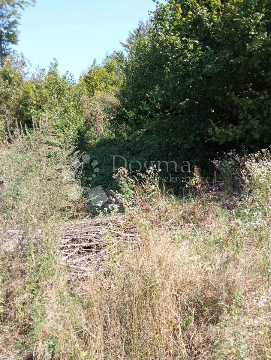 Terreno Delnice, 12.071m2