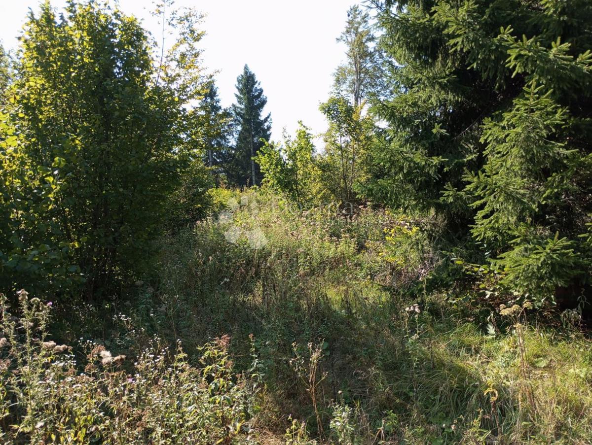Terreno Delnice, 12.071m2