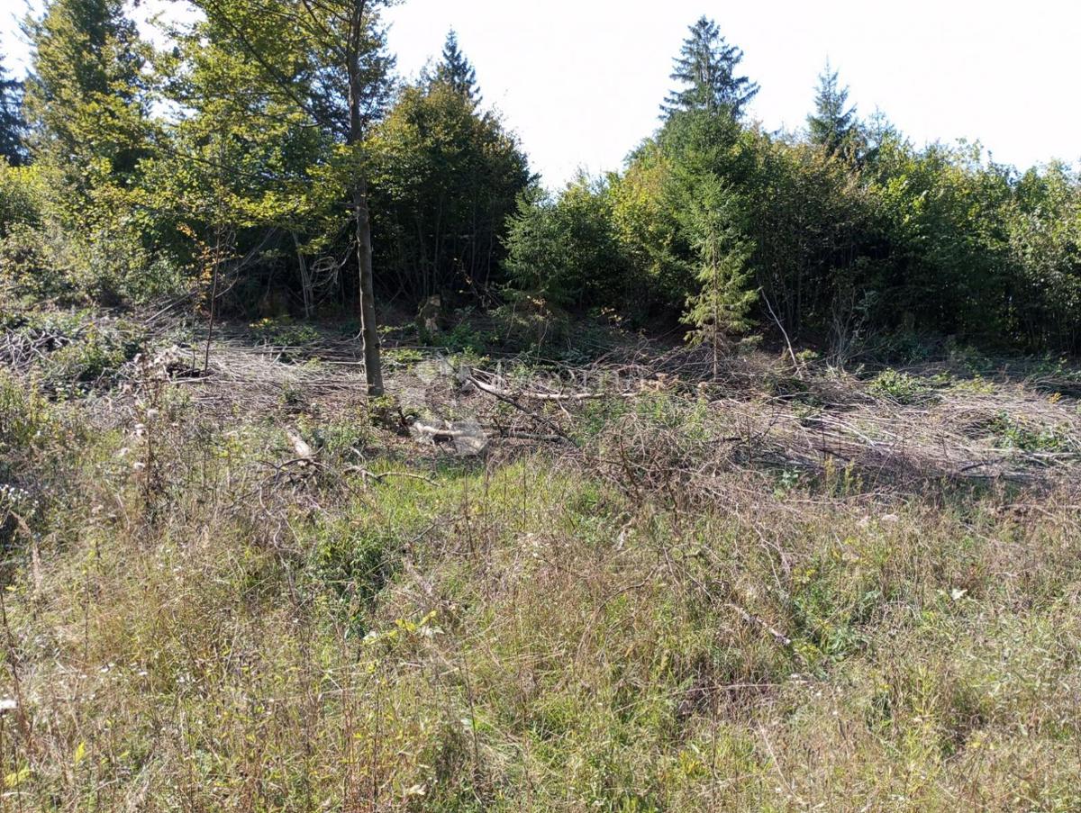 Terreno Delnice, 12.071m2