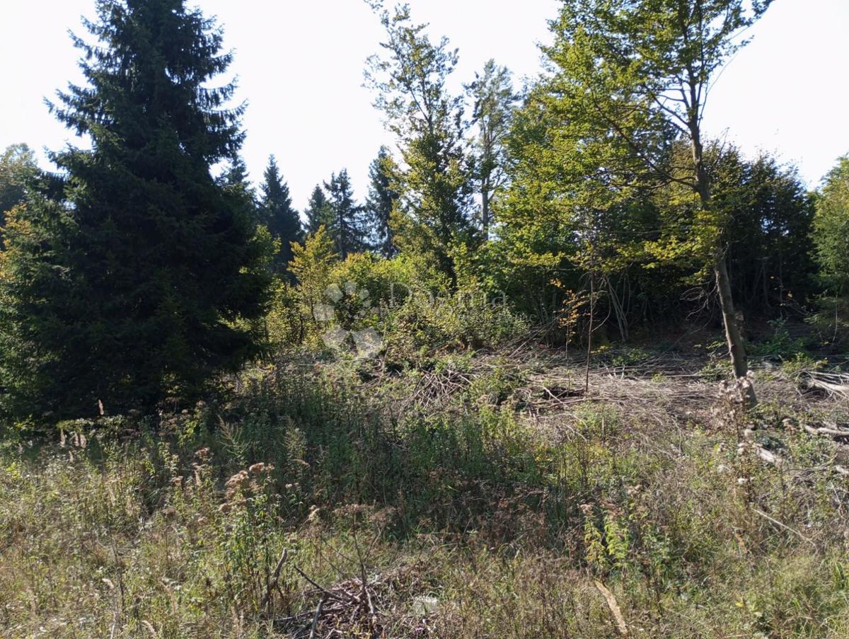 Terreno Delnice, 12.071m2