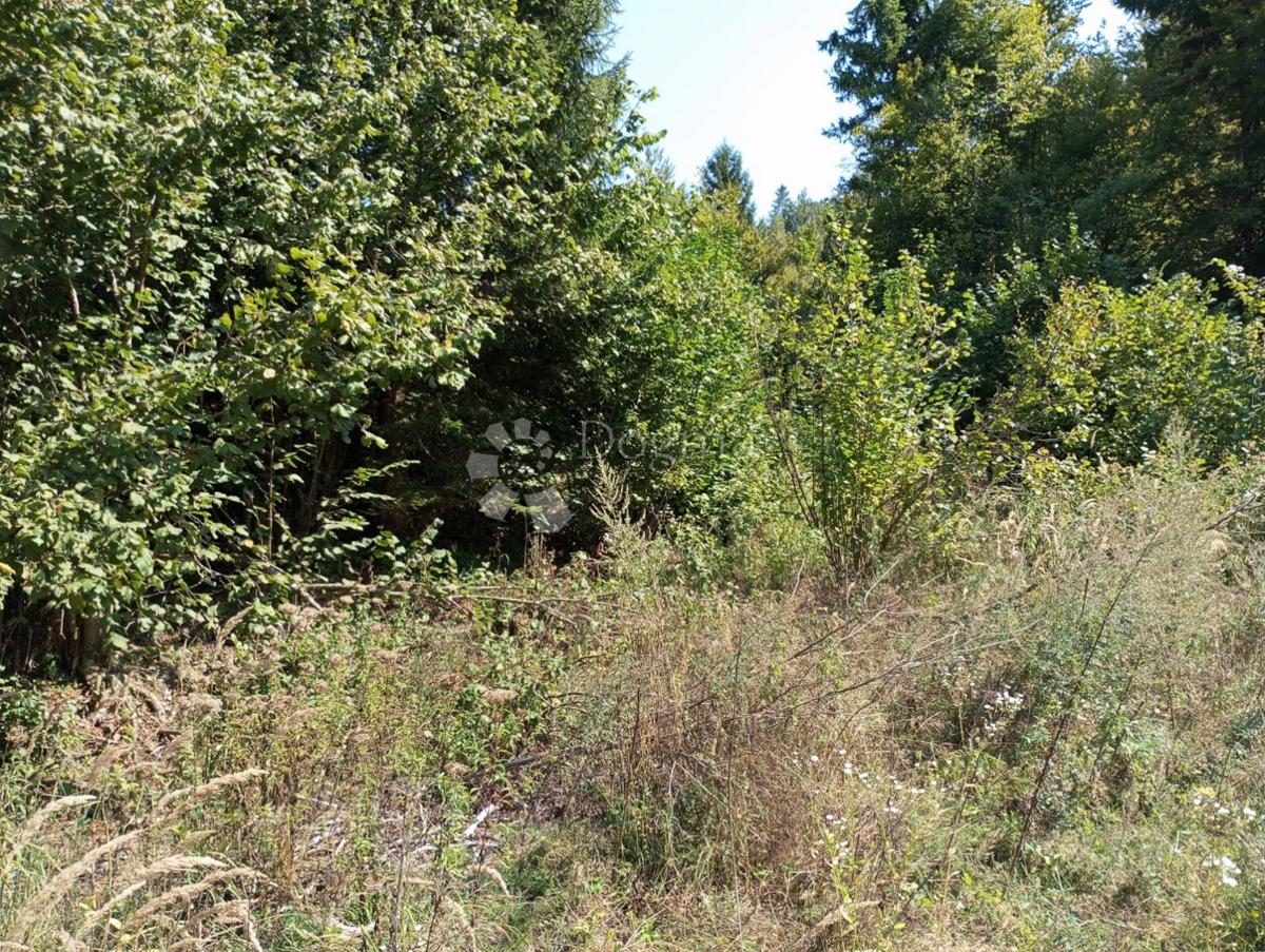 Terreno Delnice, 12.071m2