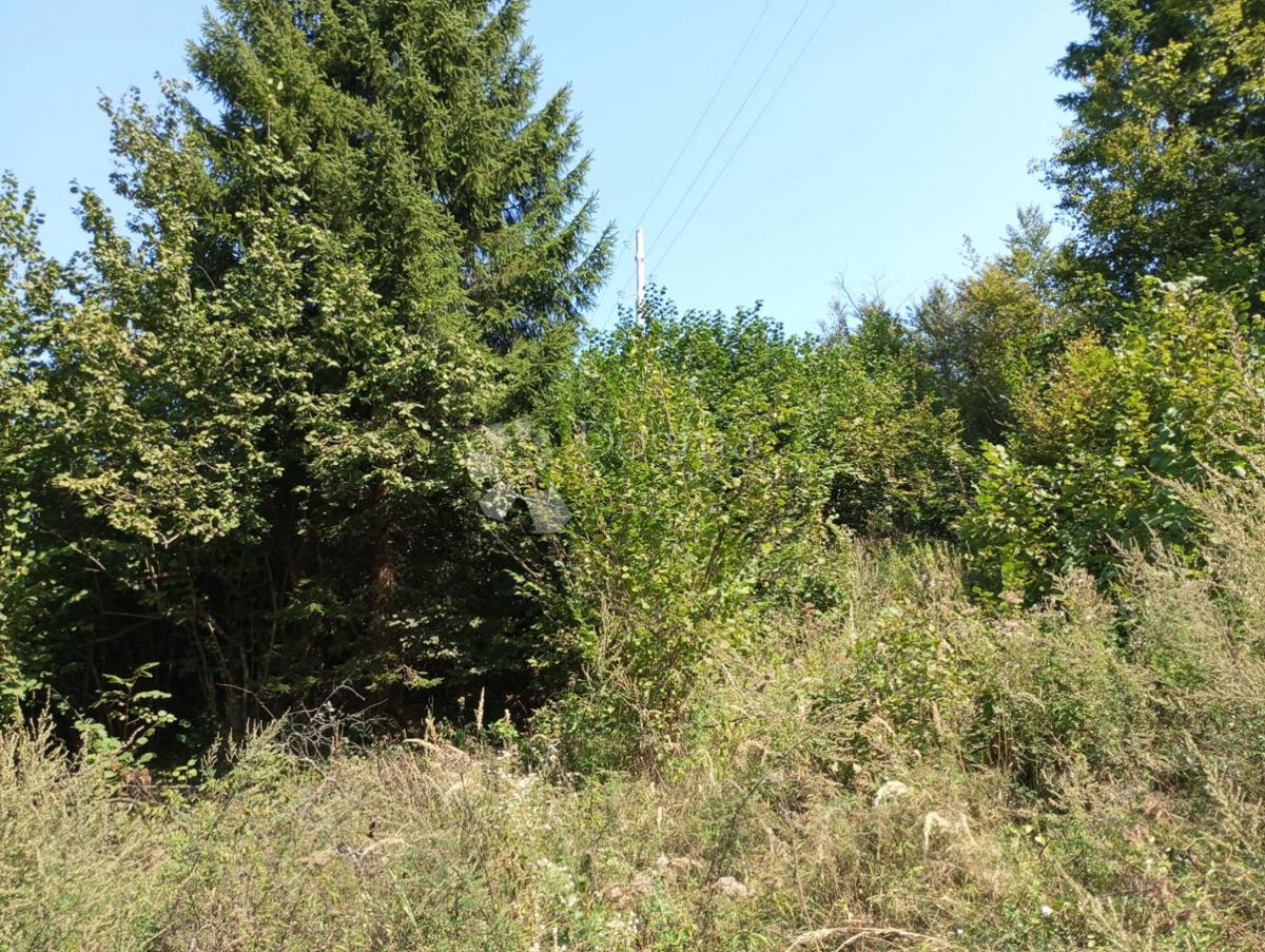 Terreno Delnice, 12.071m2