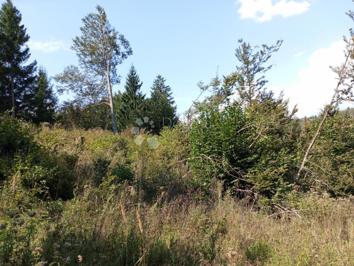Terreno Delnice, 12.071m2