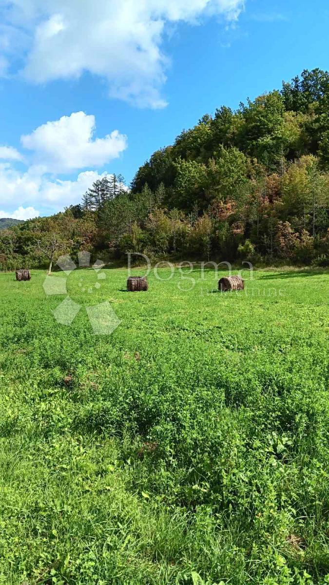 Terreno Mrgani, Kanfanar, 890m2