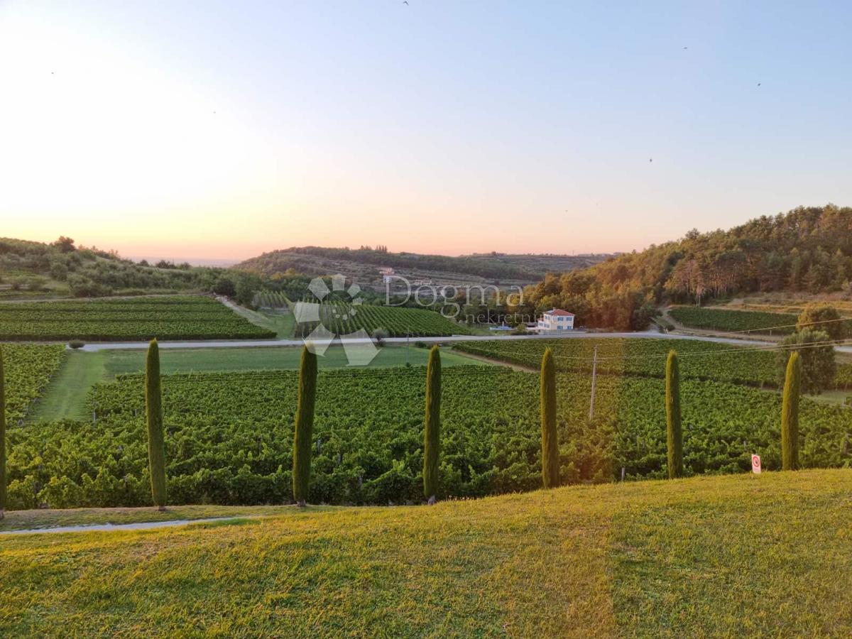 Villa istriana con vista aperta sulla campagna e sul mare