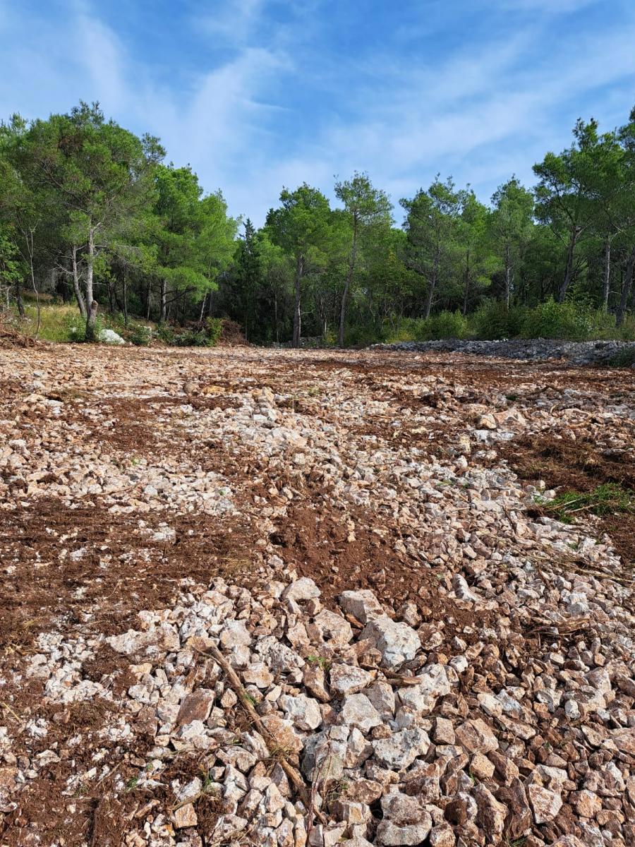 Terreno Dubrava Kod Šibenika, Šibenik - Okolica, 3.035m2