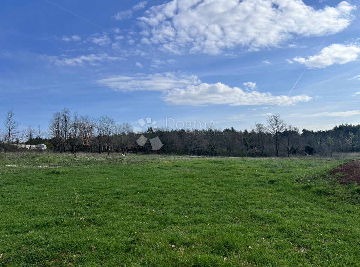 Terreno Divšići, Marčana, 6.000m2