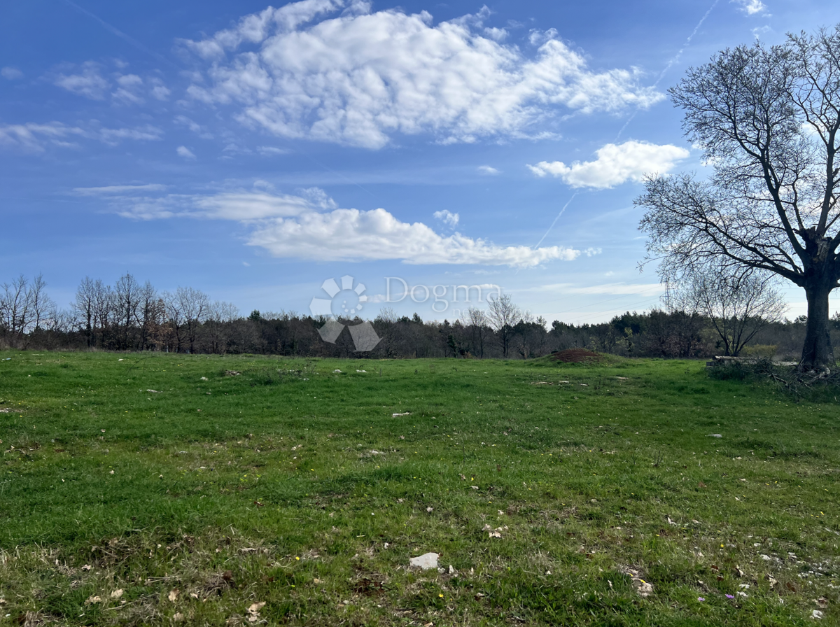 Terreno Divšići, Marčana, 6.000m2