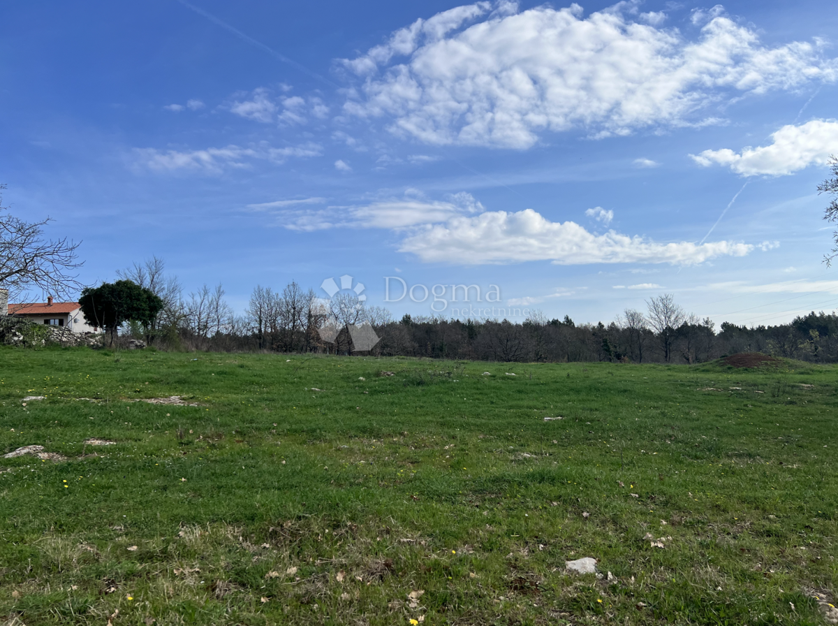 Terreno Divšići, Marčana, 6.000m2