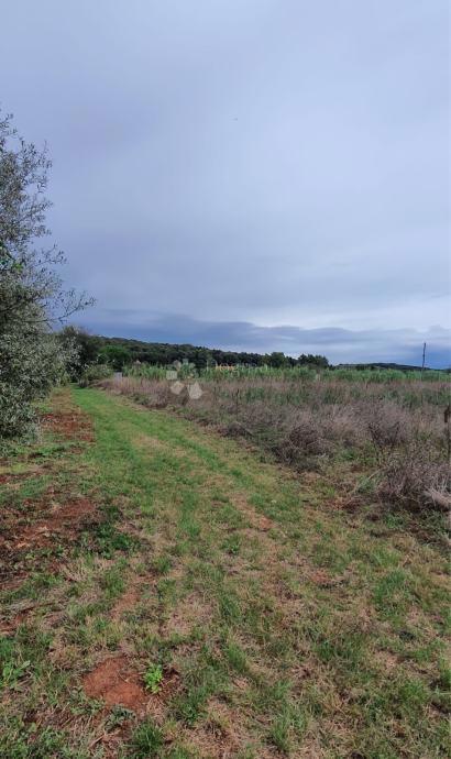 Terreno Rovinj, 5.000m2