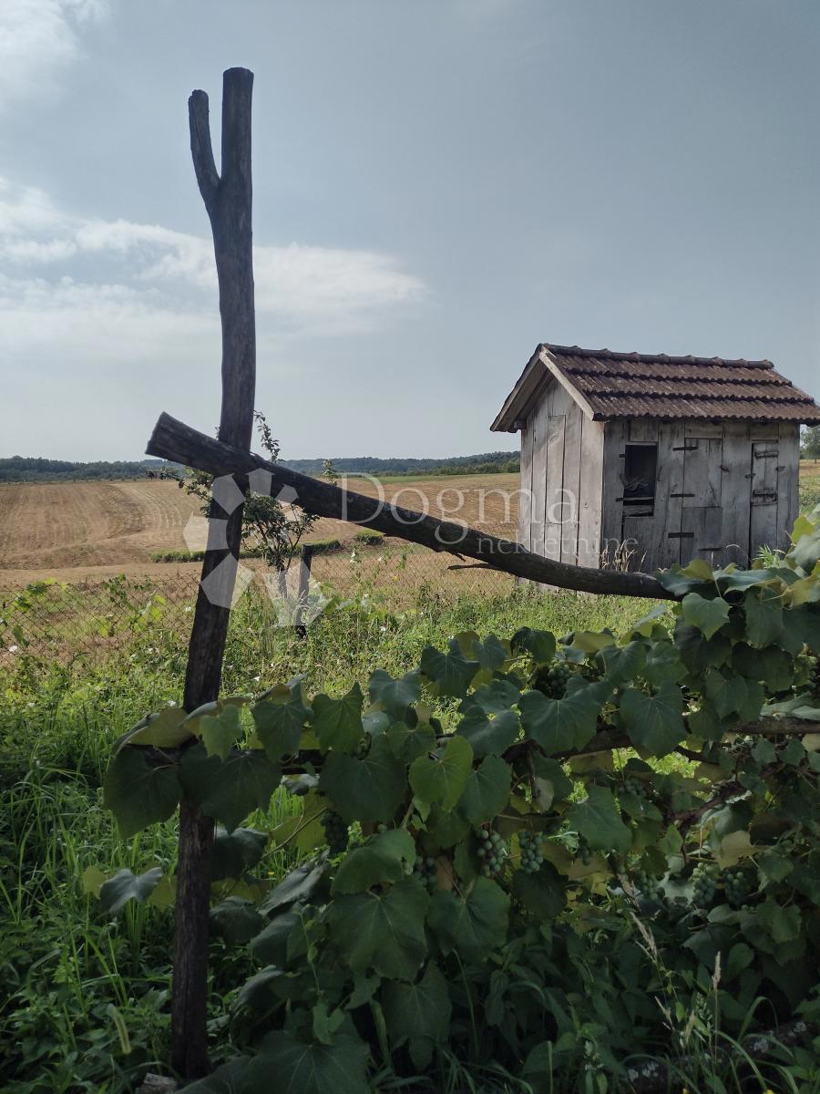 Casa Podgorje, Gvozd, 120m2