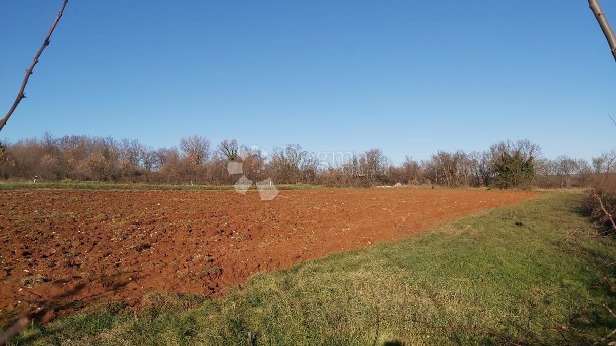 Terreno zona industriale Barban, 6700 m²