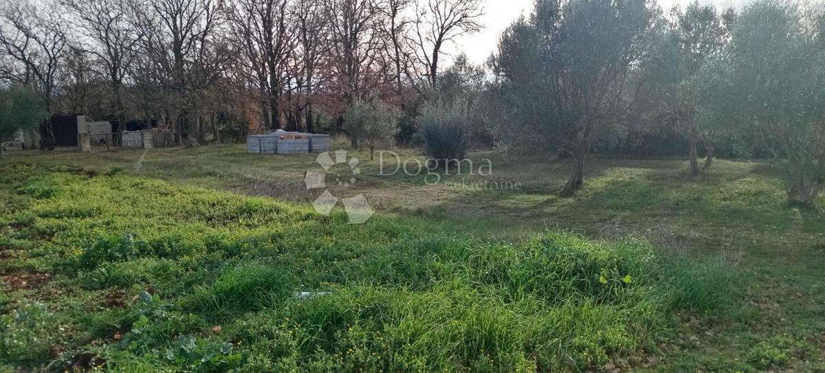 Terreno edificabile con vista mare