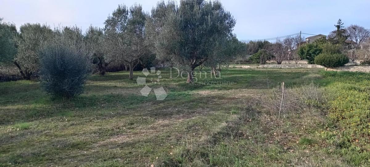 Terreno edificabile con vista mare