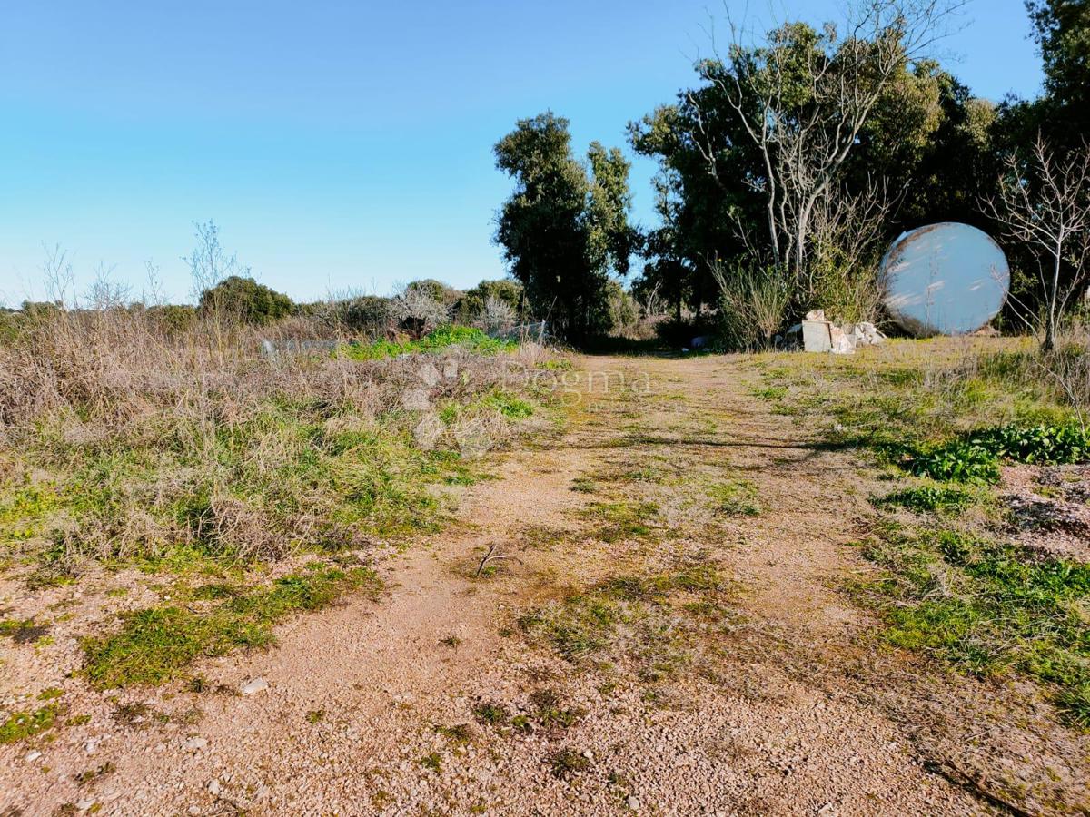 Terreno agricolo vicino al mare