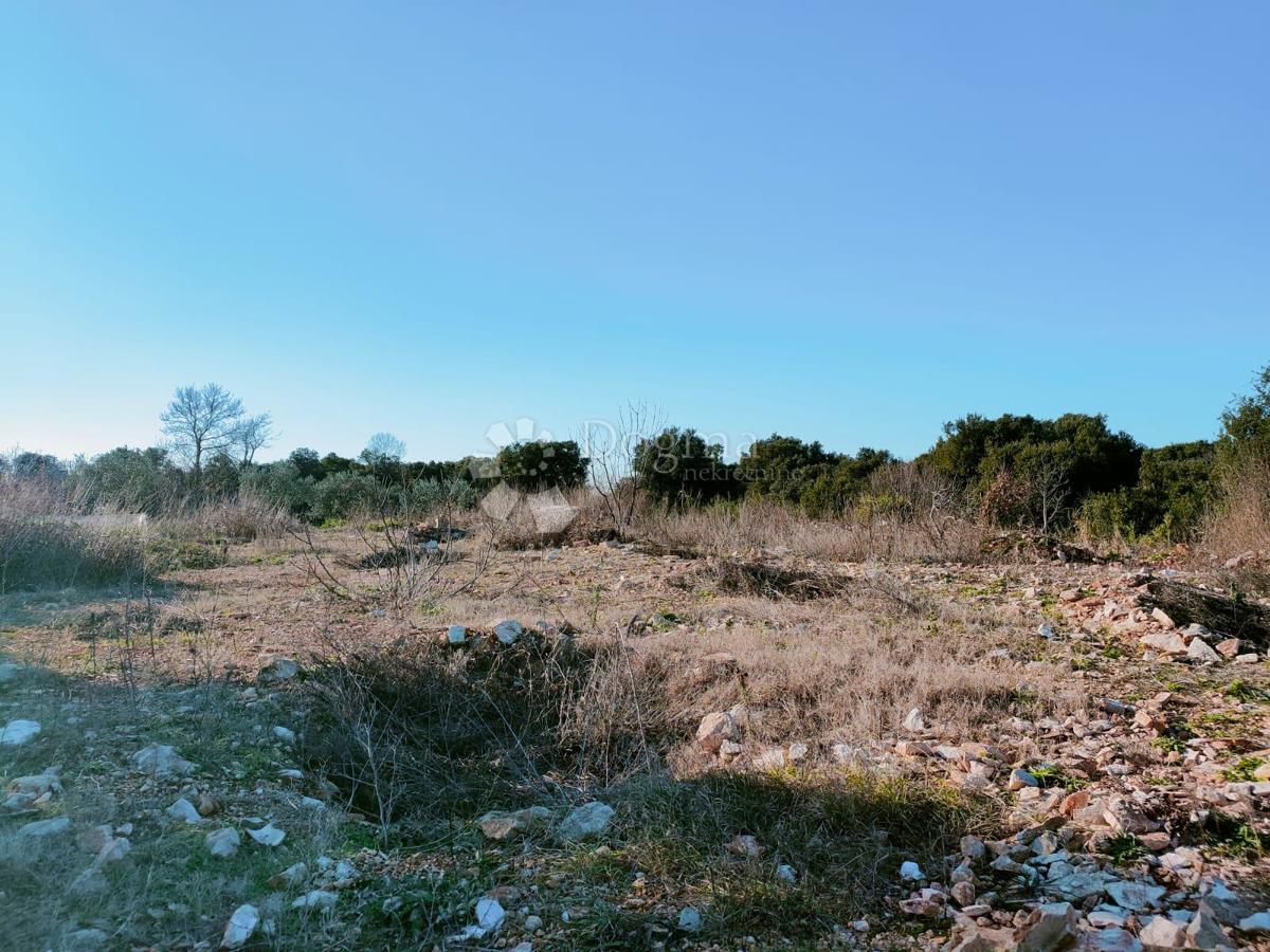 Terreno agricolo vicino al mare