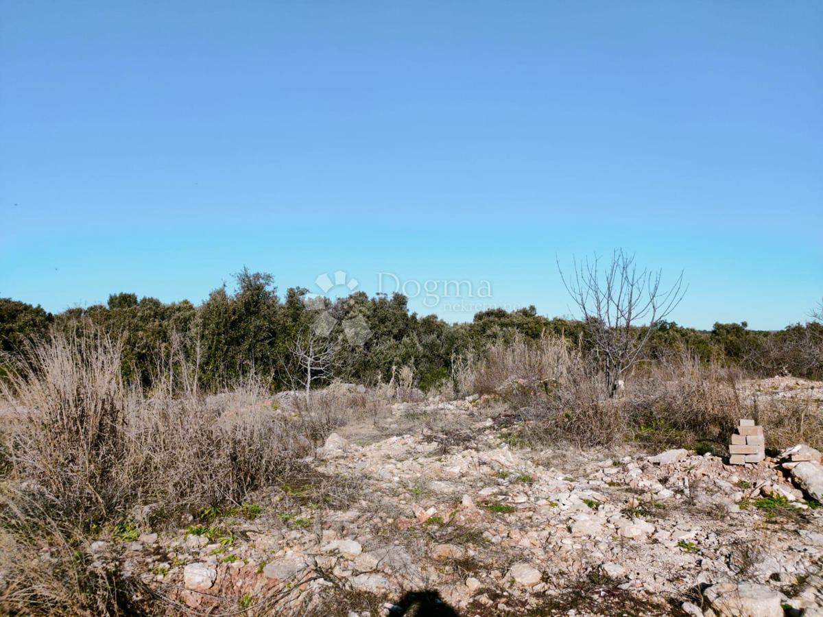 Terreno agricolo vicino al mare