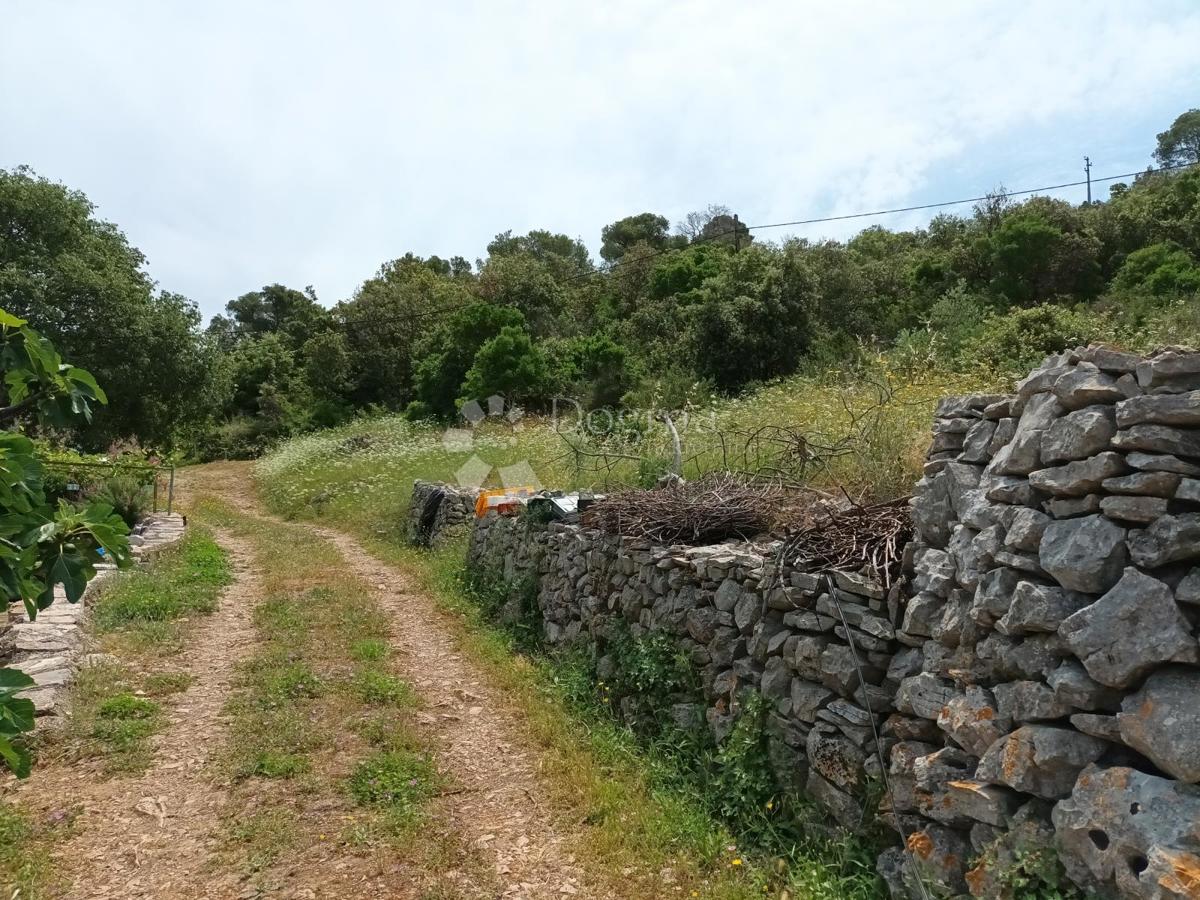 Terreno edificabile Dračevo Polje, Vis, 5.002m2