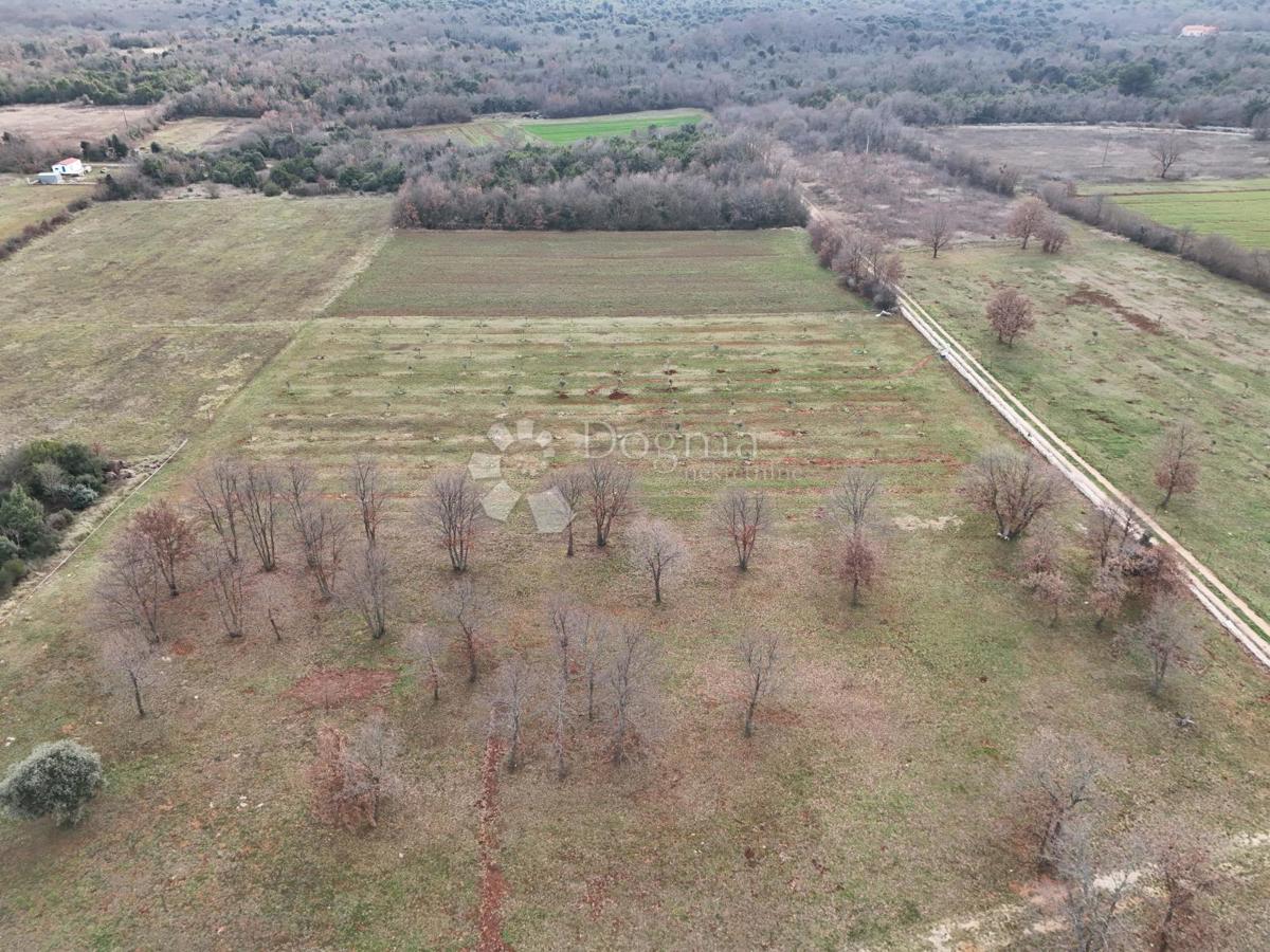 Terreno agricolo Rovinj, 11.800m2