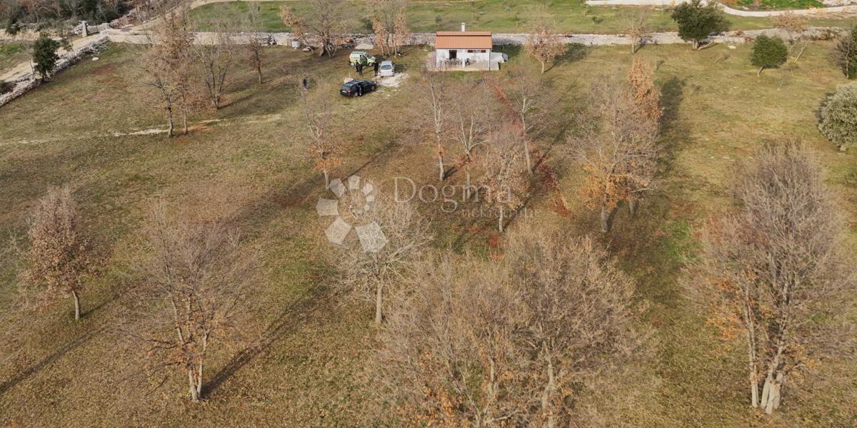 Terreno agricolo Rovinj, 11.800m2