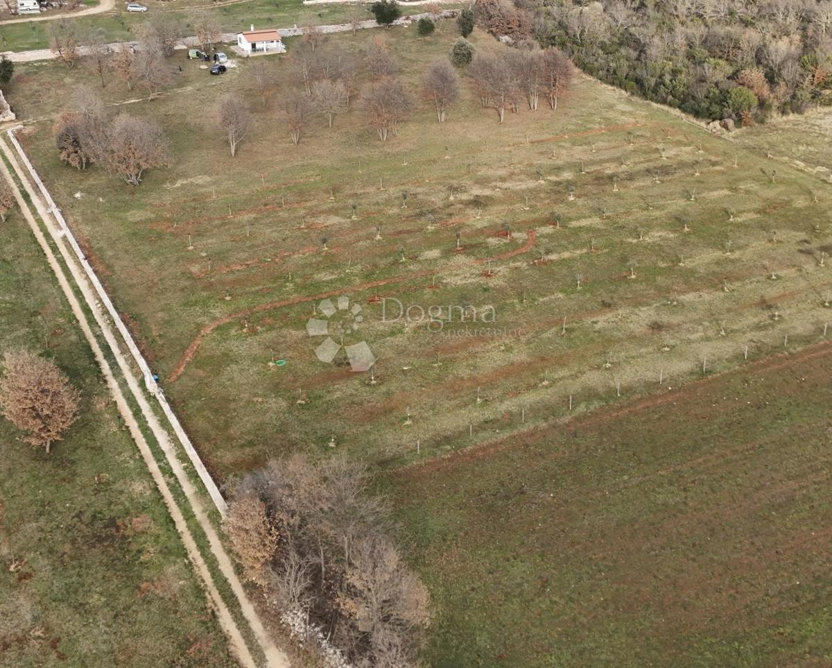 Terreno agricolo Rovinj, 11.800m2