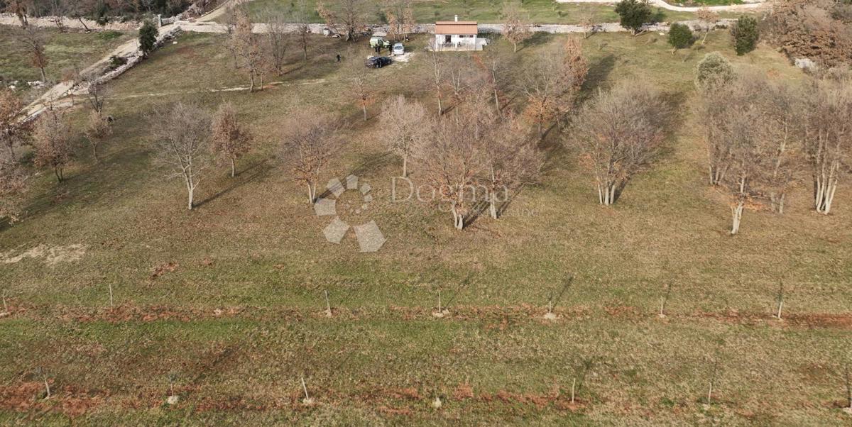 Terreno agricolo Rovinj, 11.800m2
