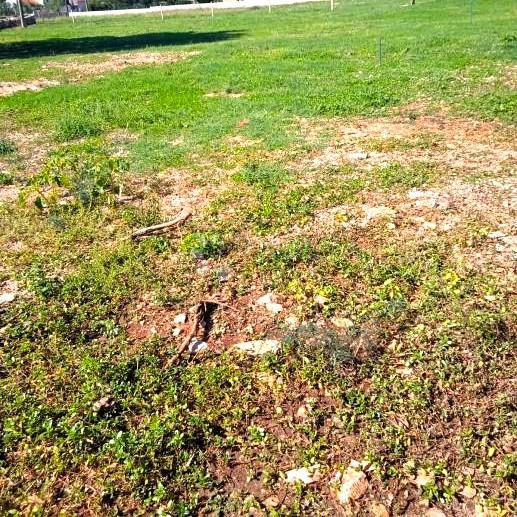Terreno edificabile a Gorica – 1050 m², pianeggiante, vicino alla strada, con infrastruttura!