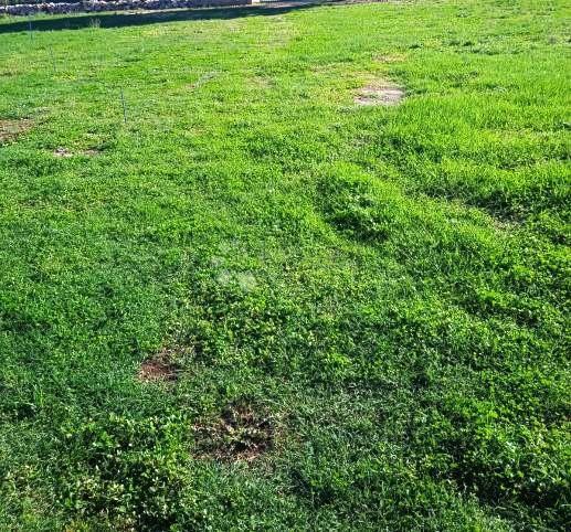 Terreno edificabile a Gorica – 1050 m², pianeggiante, vicino alla strada, con infrastruttura!