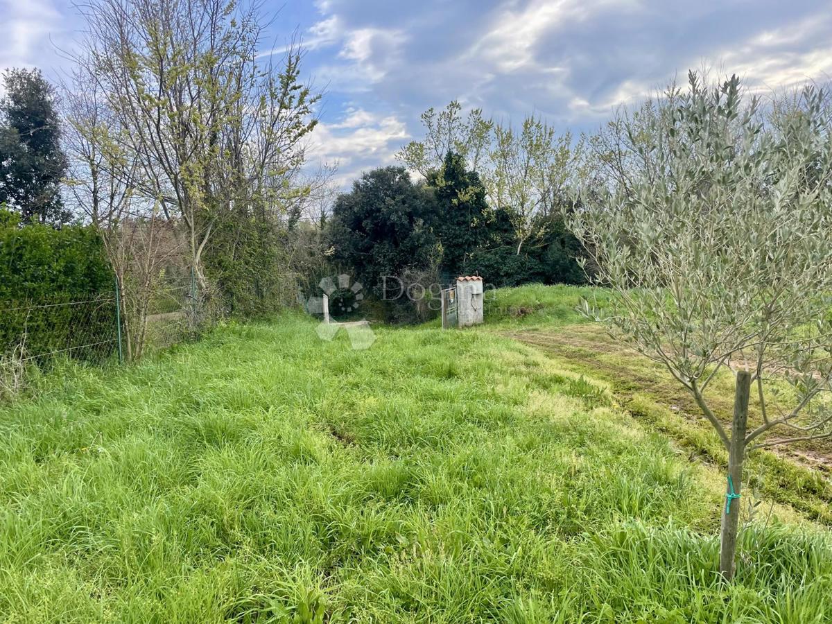 Terreno agricolo Ližnjan, 4.624m2