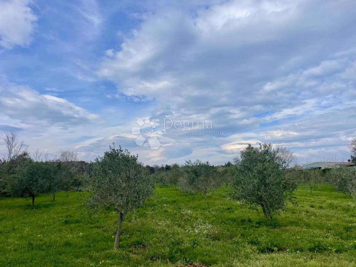 Terreno agricolo Ližnjan, 4.624m2