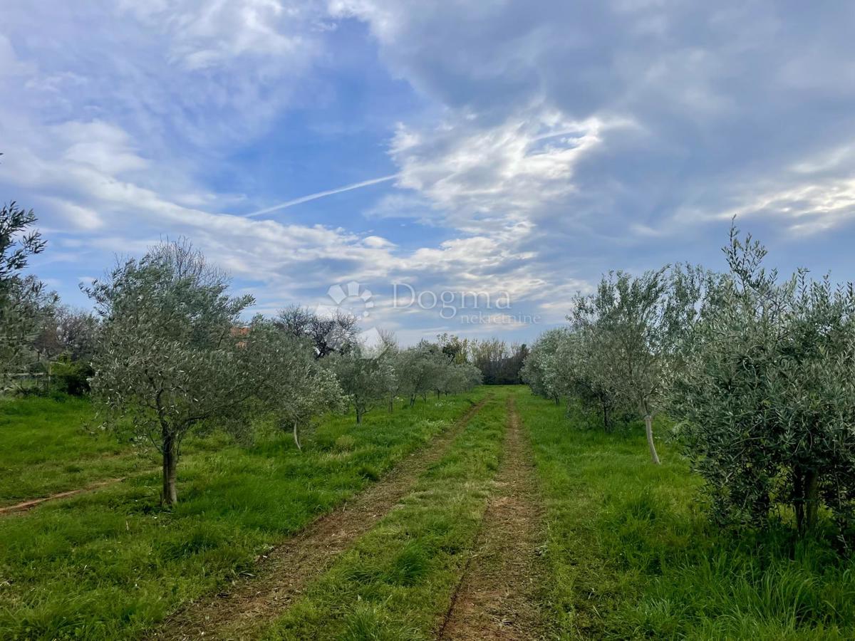 Terreno agricolo Ližnjan, 4.624m2