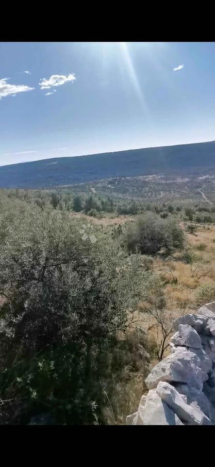 Terreno agricolo Podorljak, Rogoznica, 15.000m2