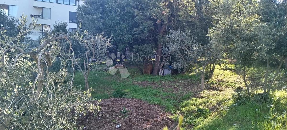 Baia sabbiosa, prima fila al mare