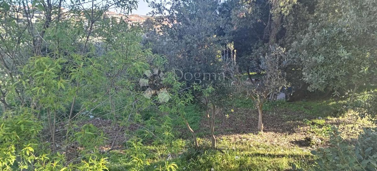 Baia sabbiosa, prima fila al mare