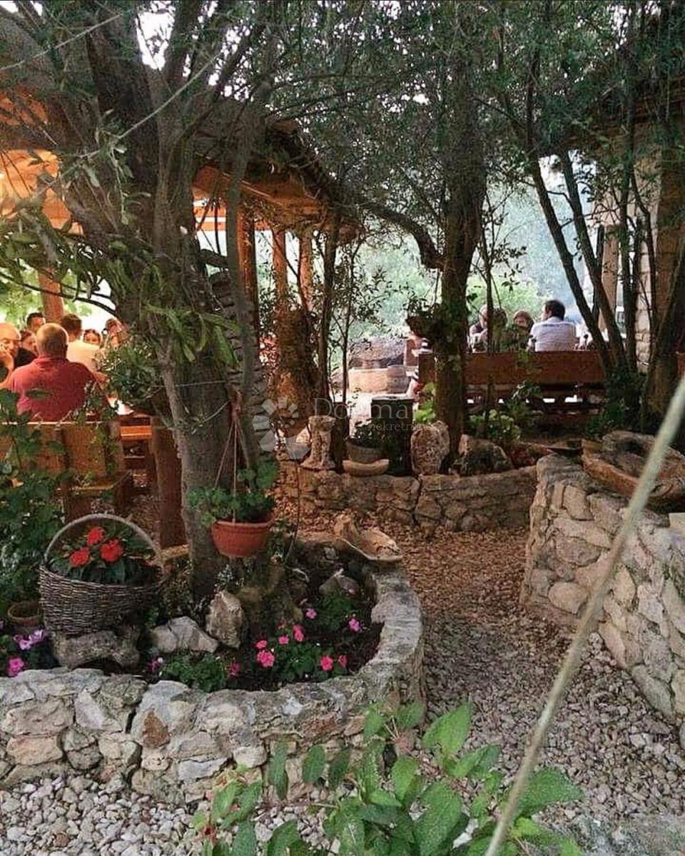 Struttura di ristorazione 1a fila al mare – Mala Rava