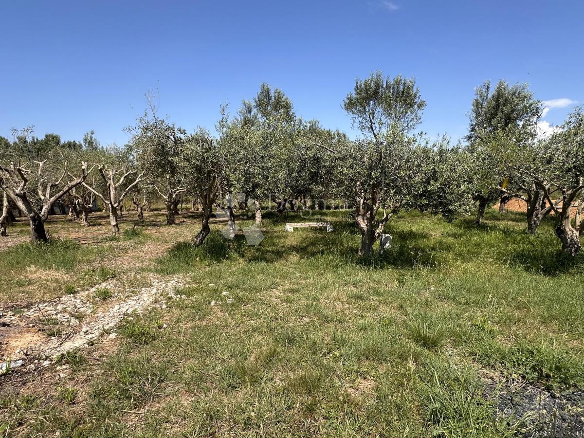 Terreno edificabile Sabunike, Privlaka, 1.019m2