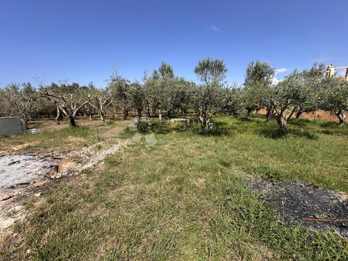 Terreno edificabile Sabunike, Privlaka, 1.019m2