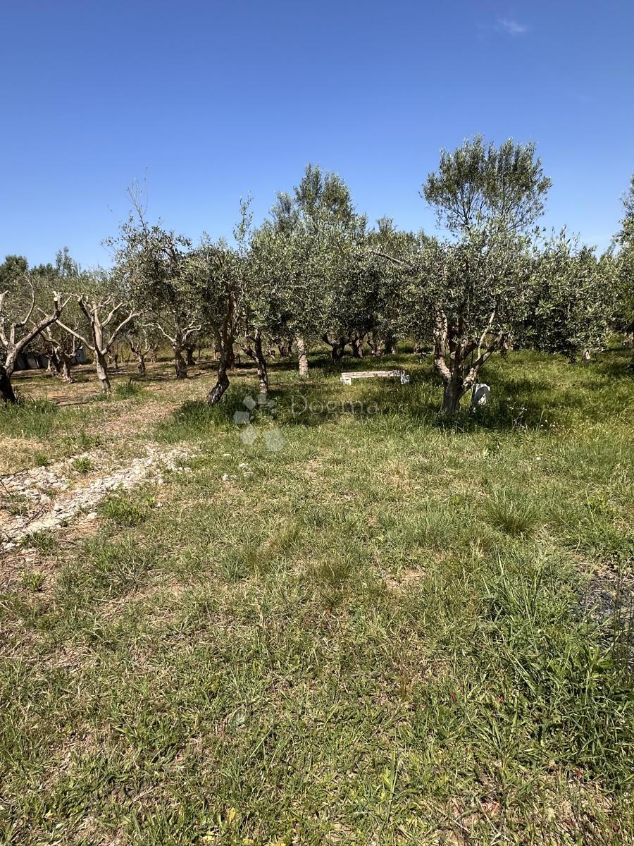 Terreno edificabile Sabunike, Privlaka, 1.019m2