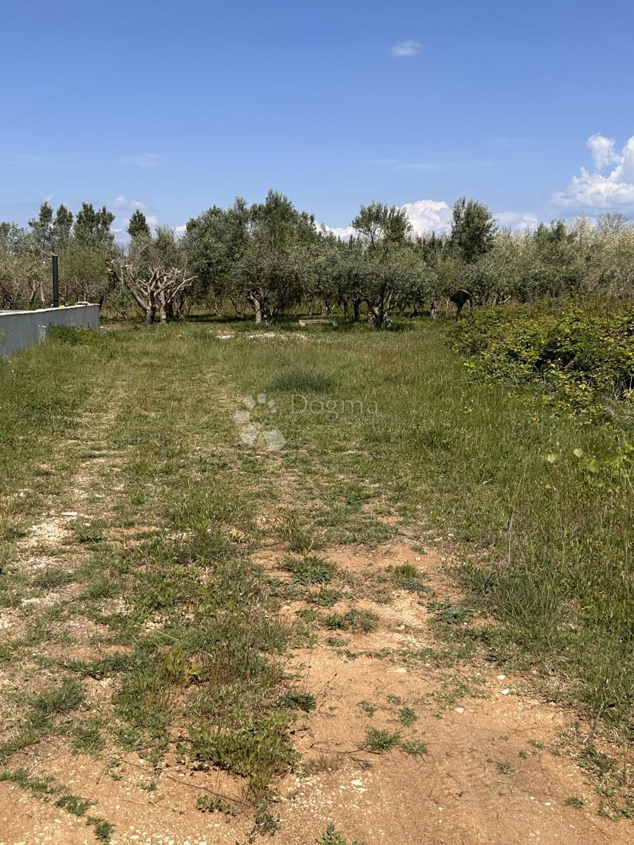 Terreno edificabile Sabunike, Privlaka, 1.019m2
