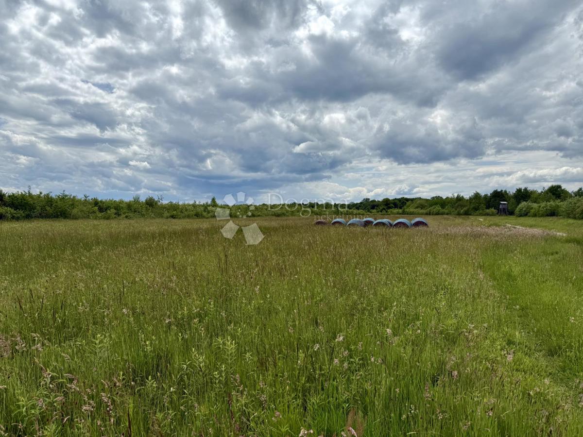 Rarità sul mercato! Ampio terreno a destinazione produttiva/commerciale