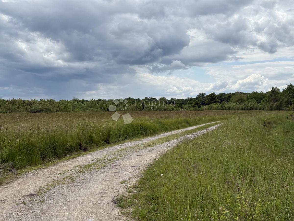 Rarità sul mercato! Ampio terreno a destinazione produttiva/commerciale