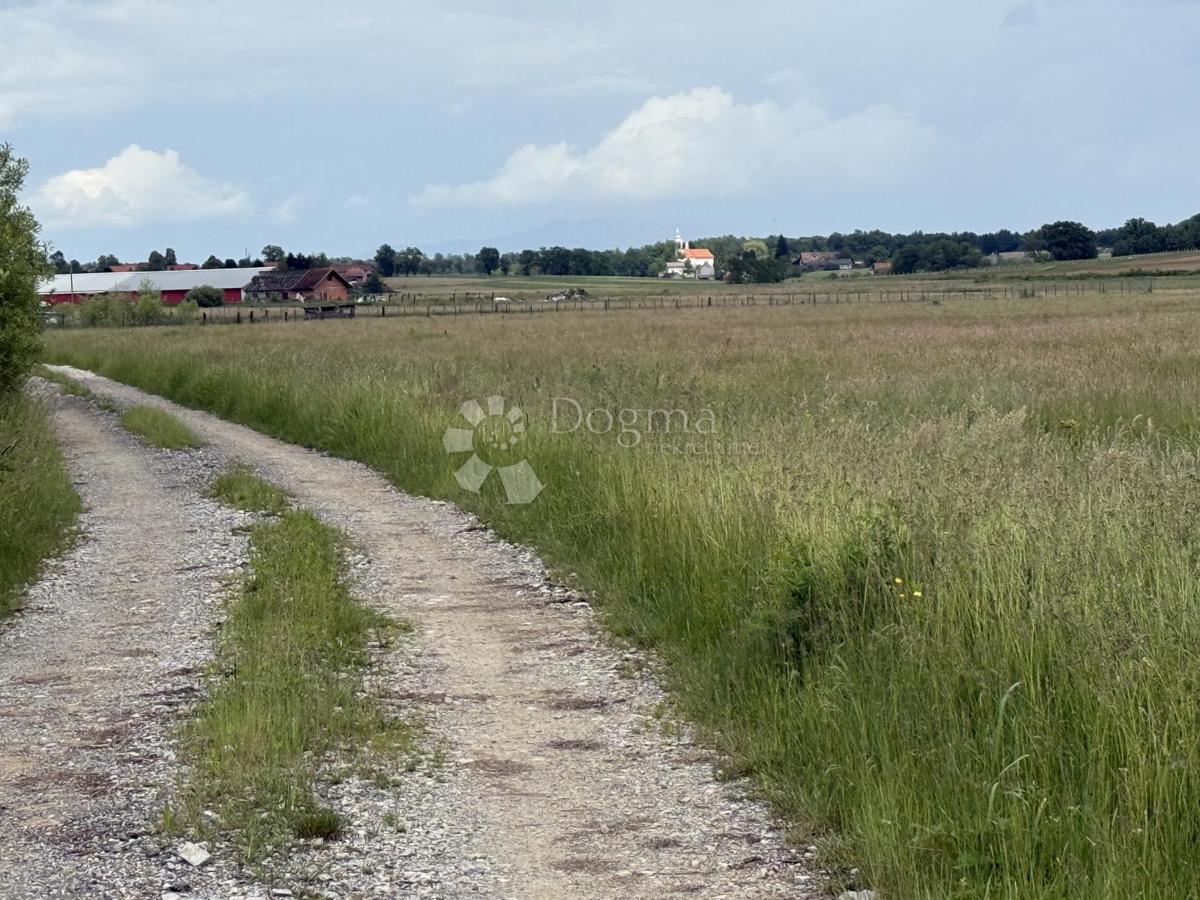 Rarità sul mercato! Ampio terreno a destinazione produttiva/commerciale