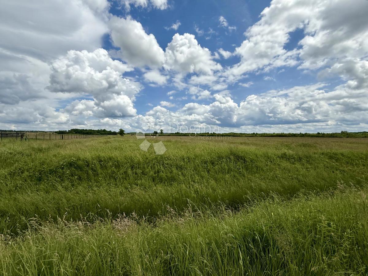 Rarità sul mercato! Ampio terreno a destinazione produttiva/commerciale