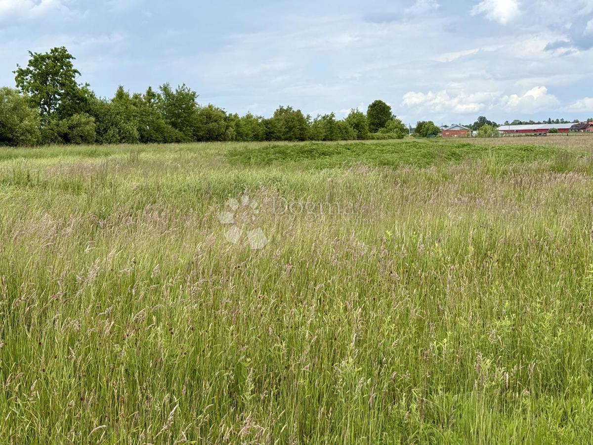 Rarità sul mercato! Ampio terreno a destinazione produttiva/commerciale