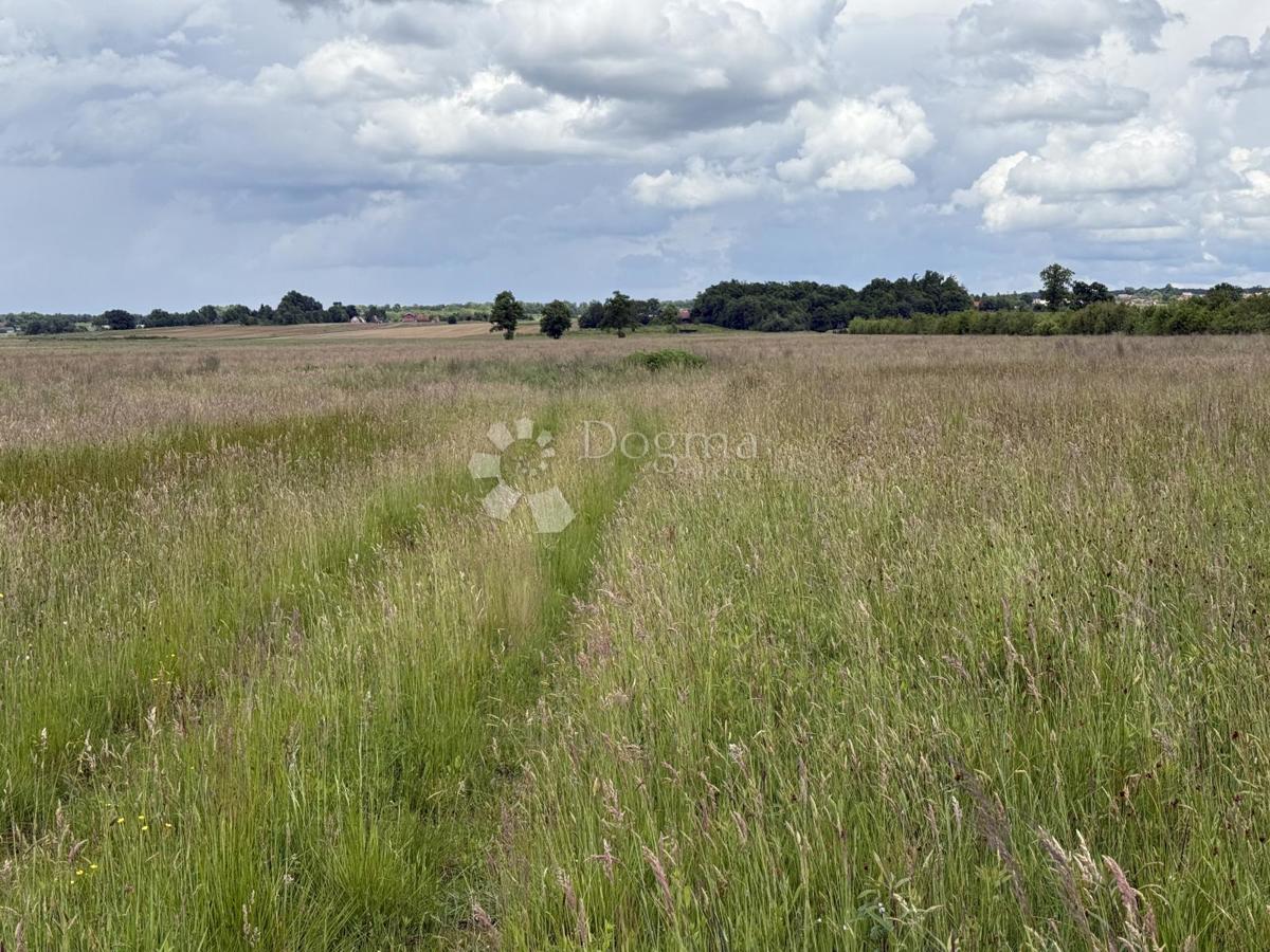 Rarità sul mercato! Ampio terreno a destinazione produttiva/commerciale