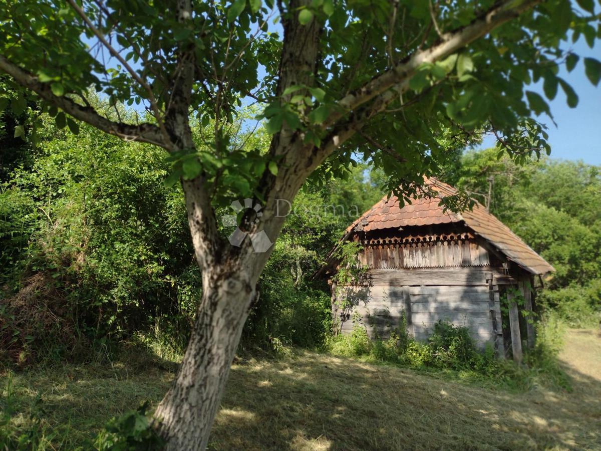 Casa Golinja, Gvozd, 50m2