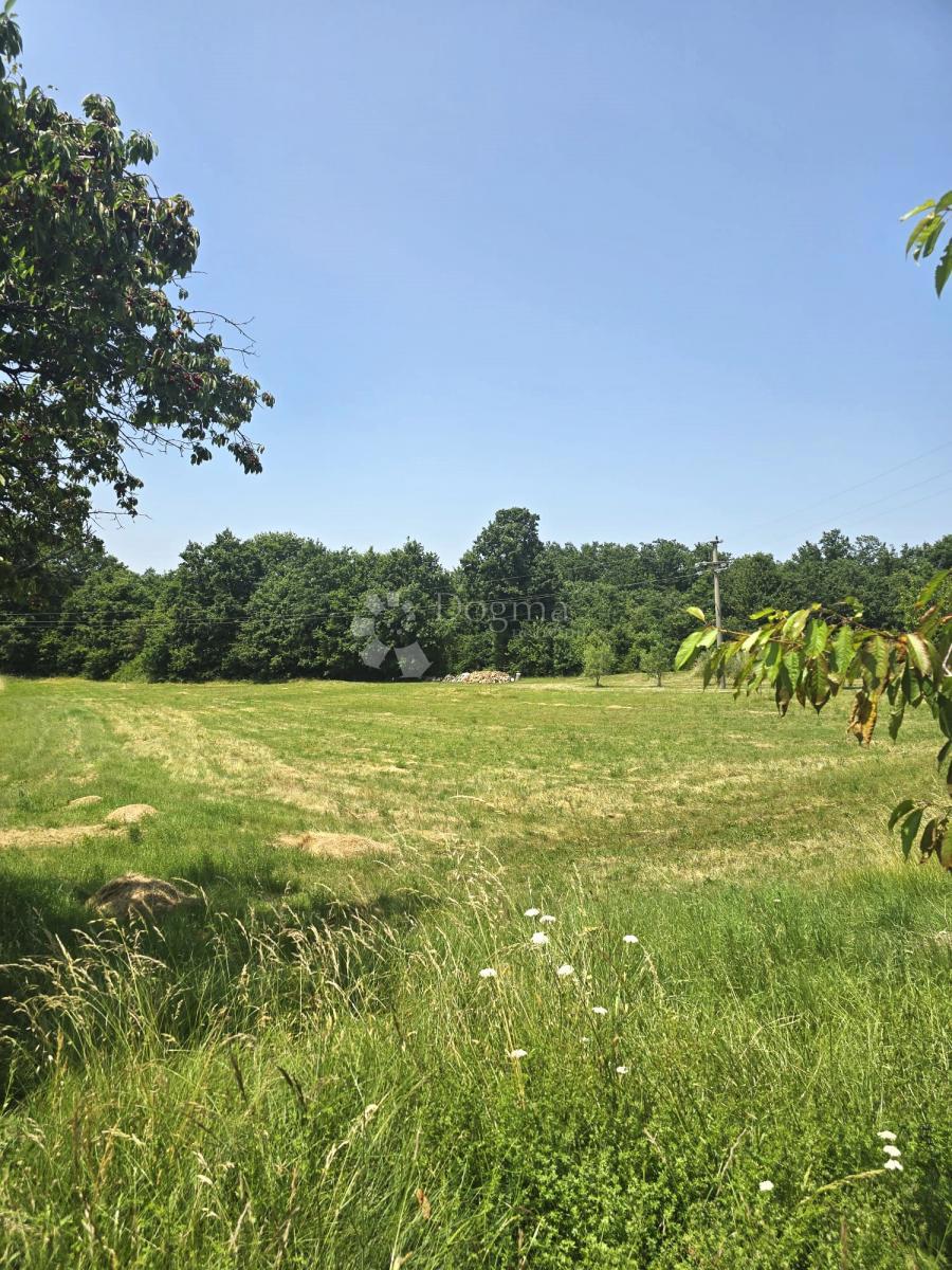 Terreno edificabile Barban, 797m2