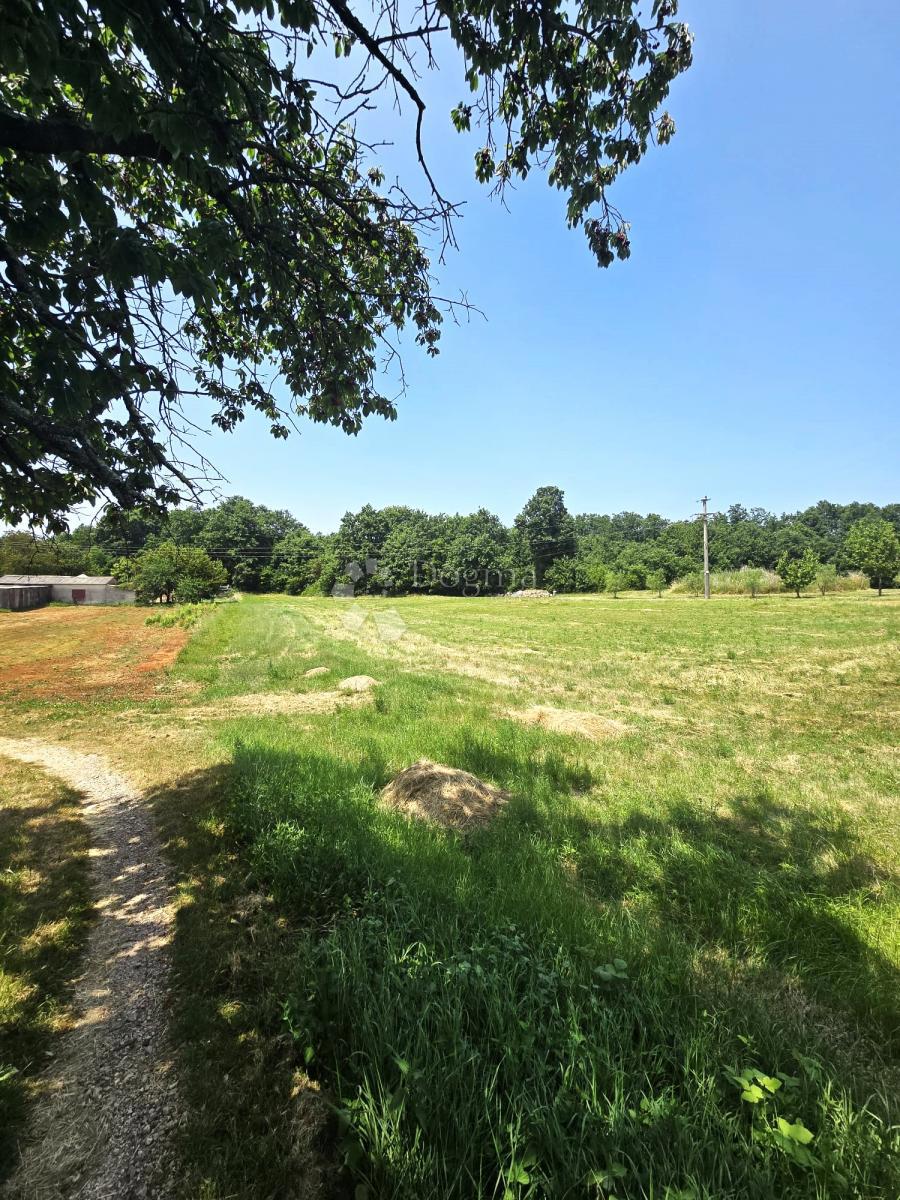 Terreno edificabile Barban, 797m2