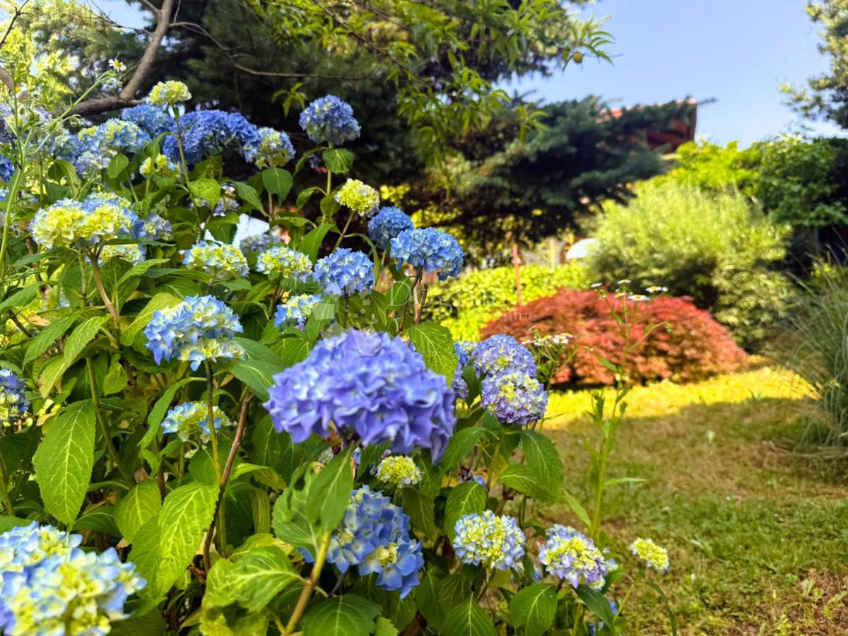 Casa Varaždin Breg, Gornji Kneginec, 164m2